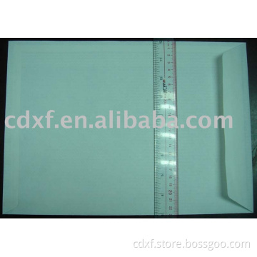 C4 envelope